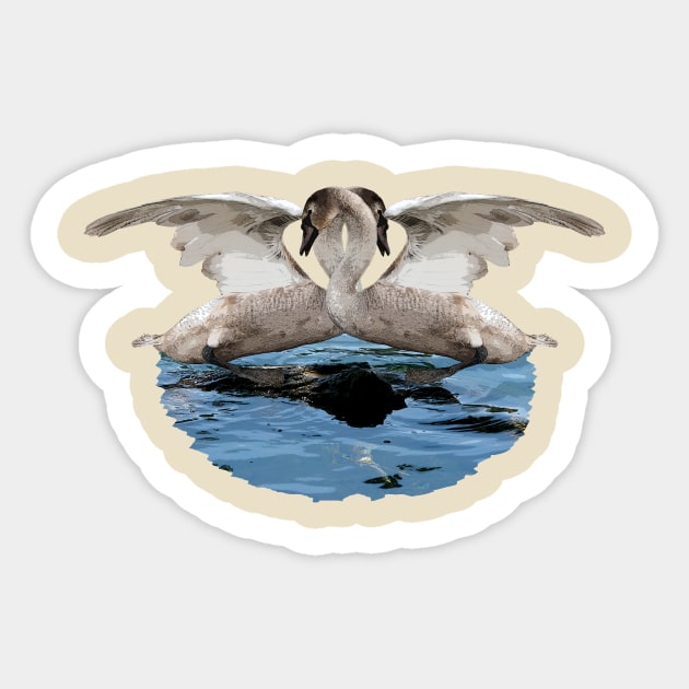 Swan Sticker by mmuzanic